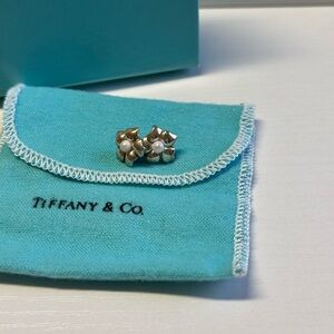 Tiffany & Co. Silver Earrings Timeless Elegance